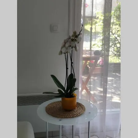 Apartment Spacious Flat Garden&parking 5min Basel Tram Bus Airport *