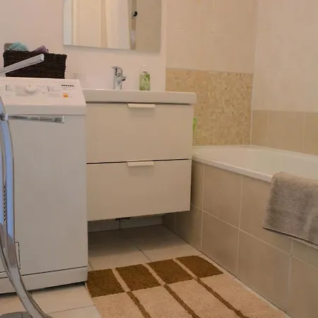 Spacious Flat Garden&parking 5min Basel Tram Bus Airport Saint-Louis (Haut-Rhin)