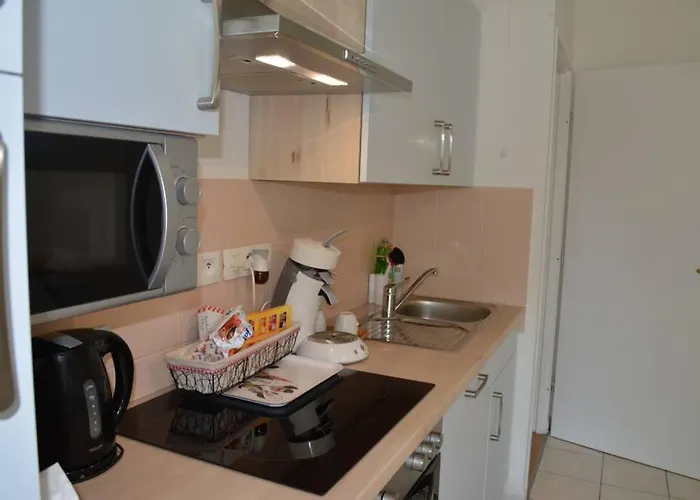 Spacious Flat Garden&parking 5min Basel Tram Bus Airport * Saint-Louis (Haut-Rhin)