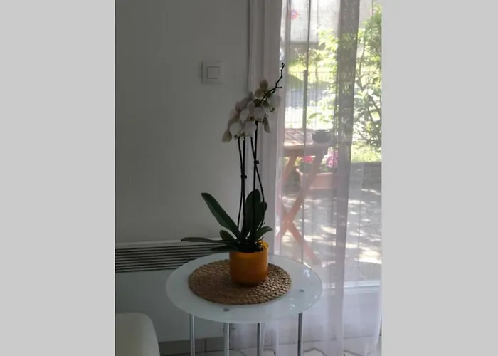 Apartamento Spacious Flat Garden&parking 5min Basel Tram Bus Airport *